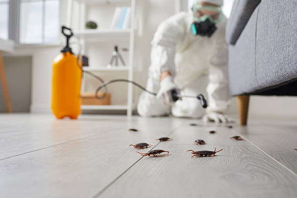 Trusted Mosquito Control service in Dash Point, WA - Nex Pest Control